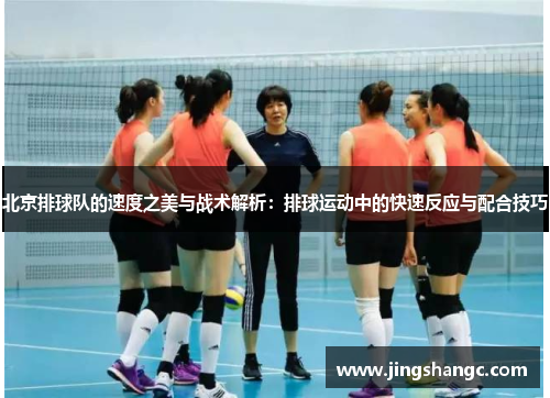 北京排球队的速度之美与战术解析：排球运动中的快速反应与配合技巧