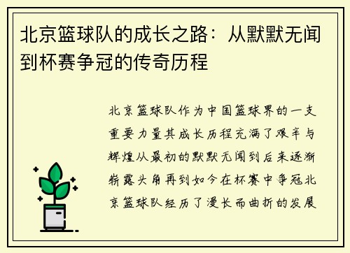 北京篮球队的成长之路：从默默无闻到杯赛争冠的传奇历程