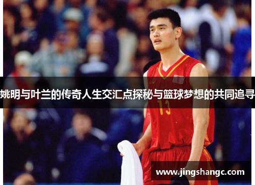 姚明与叶兰的传奇人生交汇点探秘与篮球梦想的共同追寻
