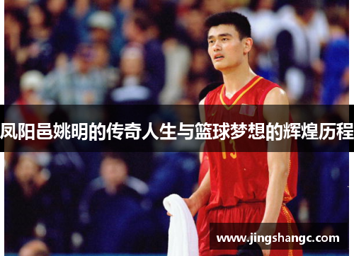 凤阳邑姚明的传奇人生与篮球梦想的辉煌历程
