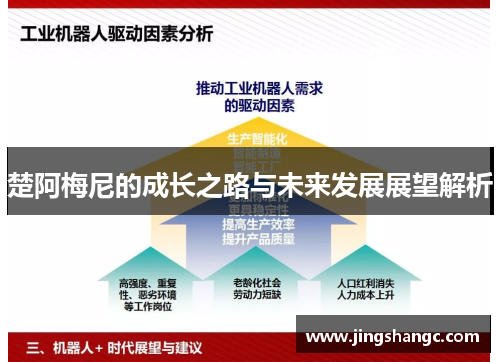 楚阿梅尼的成长之路与未来发展展望解析